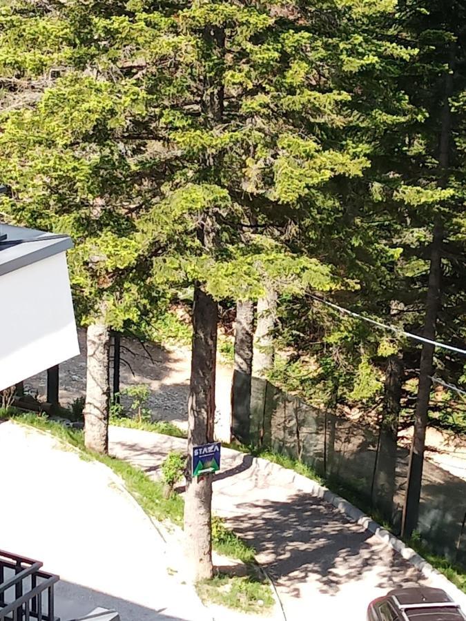 Apartman Bijela Bjelašnica Εξωτερικό φωτογραφία